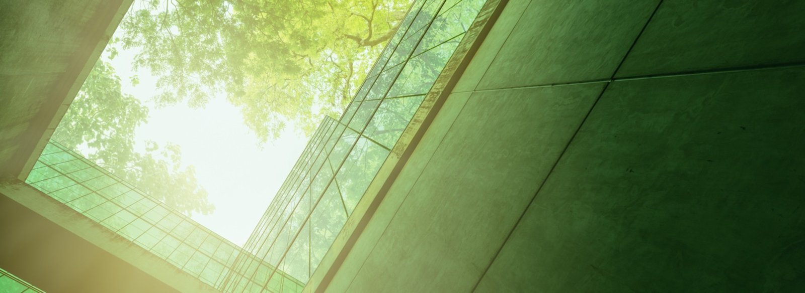 Project company name